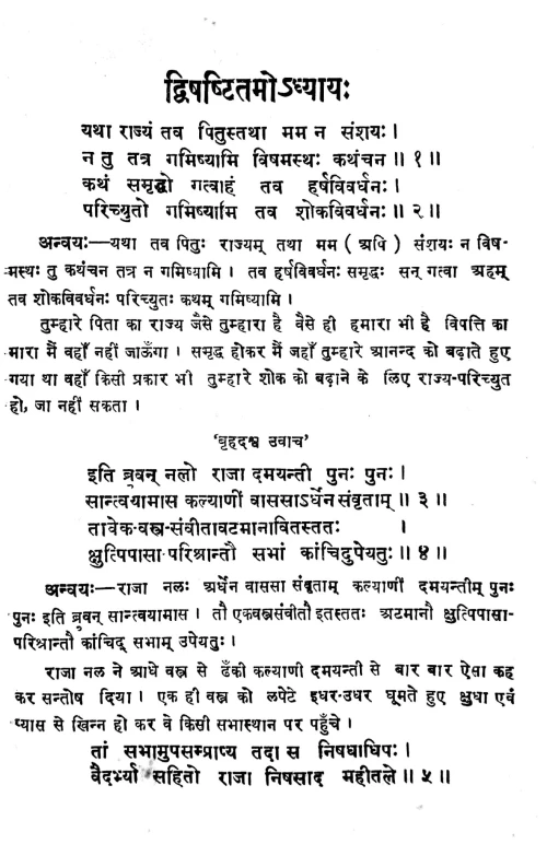 Nalopakhyanam (Kavya)